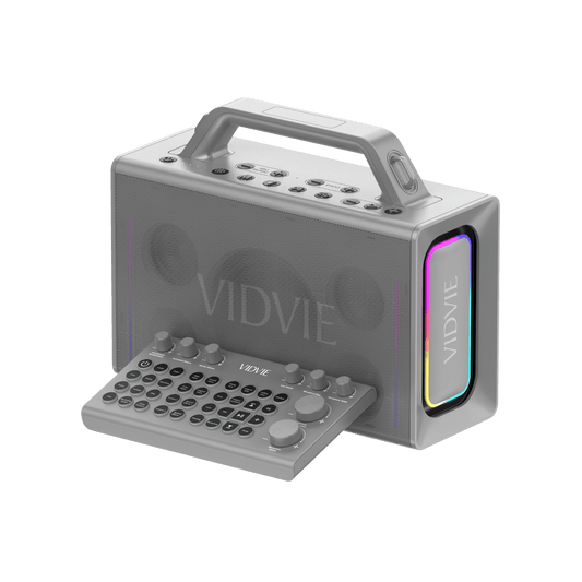 Multi-functional Outdoor Karaoke Portable Wireless Speaker