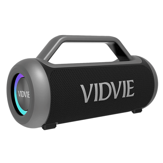 Portable Outdoor Karaoke Dual Microphone Wireless Speaker