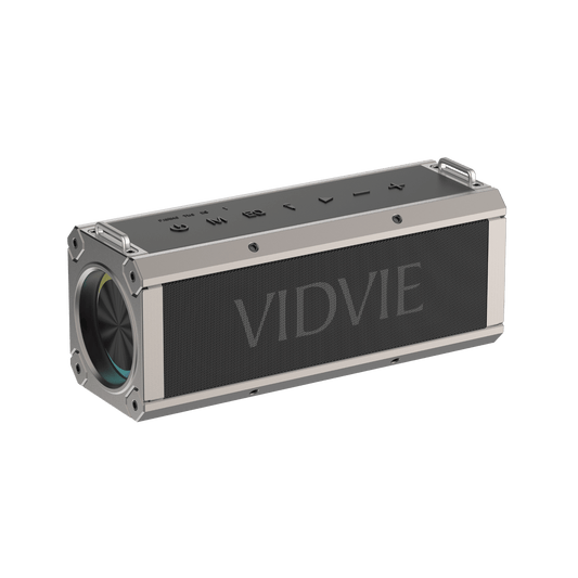 Heavy Bass Outdoor Karaoke Dual Microphone Wireless Speaker